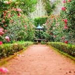 créer un jardin écologique