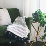 les plantes d’intérieur