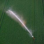 système d'irrigation