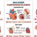 maladies cardiovasculaires